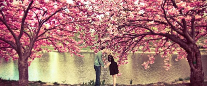 Zašto se najčešće zaljubljujemo u proleće?