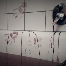 Porodične traume kao jedan od mogućih uzroka devijantnog ponašanja Porodične traume kao jedan od mogućih uzroka devijantnog ponašanja