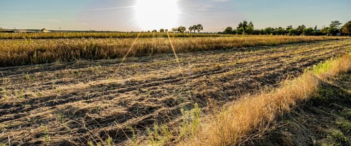 Dr Aleksandra Bubera Ninić za N1 o uticaju vrućina na mentalno zdravlje Dr Aleksandra Bubera Ninić za N1 o uticaju vrućina na mentalno zdravlje